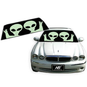 PROTECTOR SOL ALIENS 24"X58"